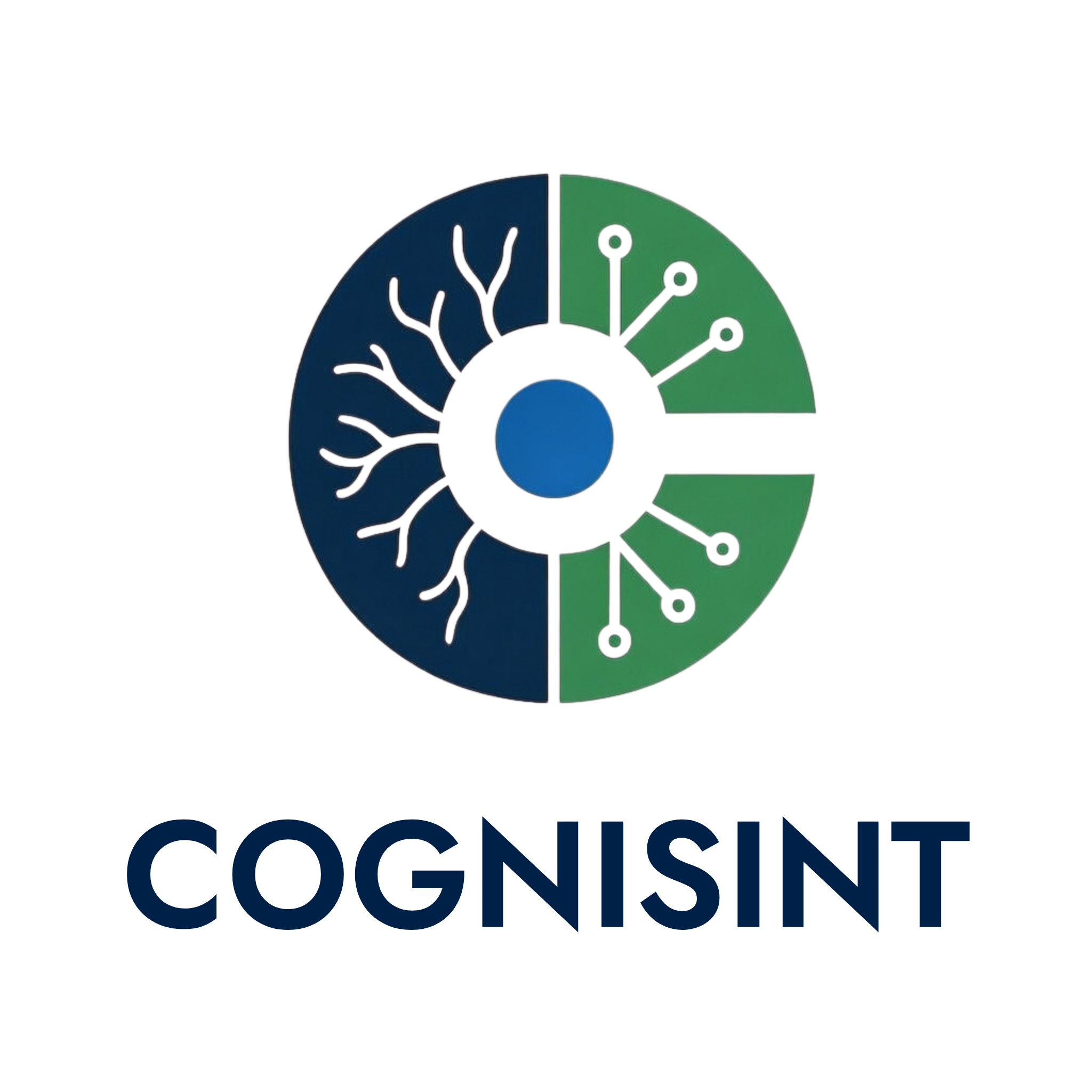 Cognisint LLC